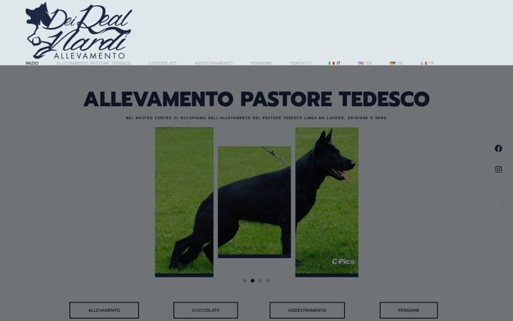 Zrzut ekranu allevamentodeirealnardi.com