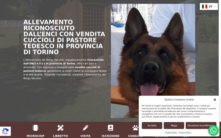 Screenshot of allevamentodelborgovecchio.it