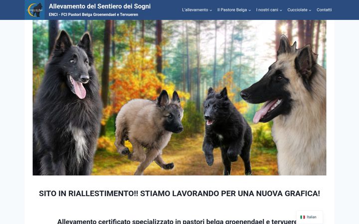 Skærmbillede af allevamentodelsentierodeisogni.it