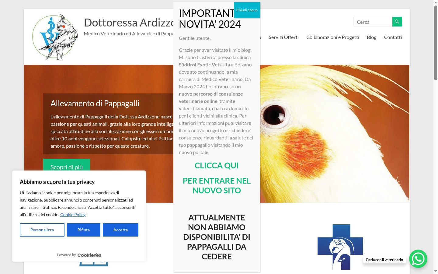 Captura de ecrã do banner de consentimento apresentado antes de qualquer interação