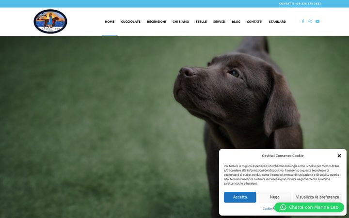 Screenshot of allevamentolabradormarinalab.it