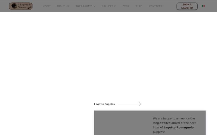 Screenshot of allevamentolagotto.it