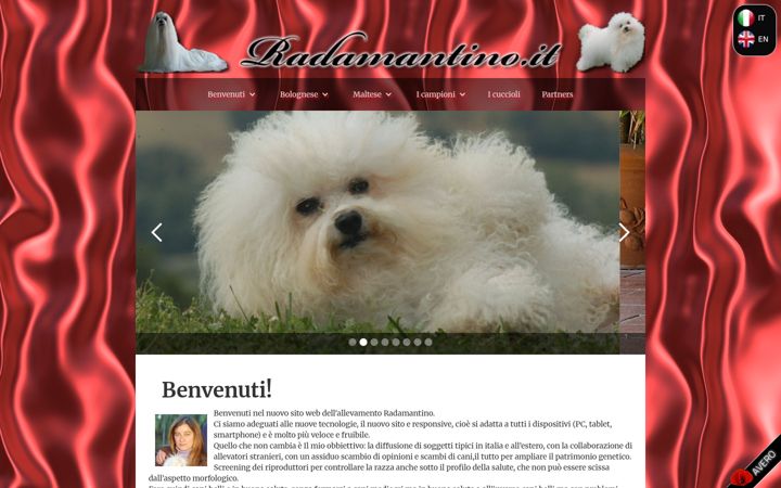 Zrzut ekranu allevamentoradamantino.it