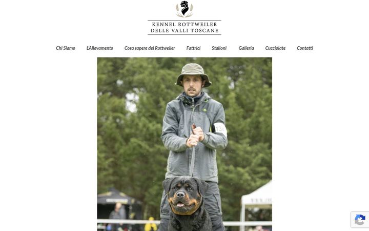 Screenshot of allevamentorottweiler.it