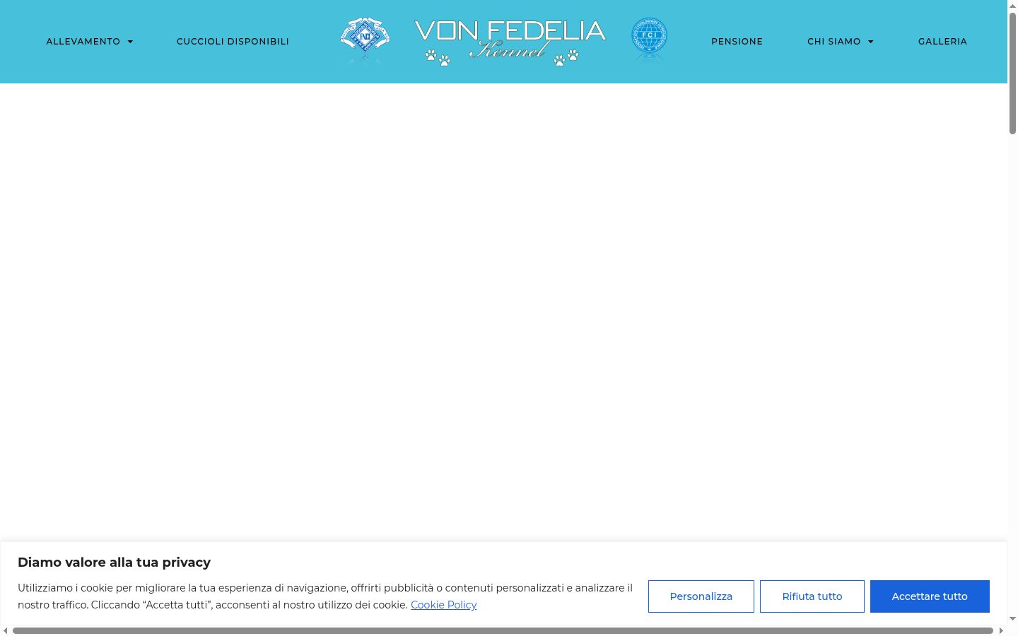 Screenshot del banner di consenso mostrato prima di qualsiasi interazione