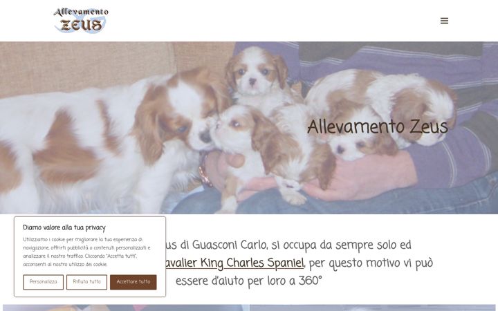 Screenshot of allevamentozeus.eu