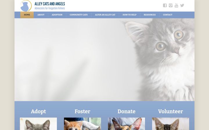 Kuvakaappaus sivustosta alleycatsandangels.org