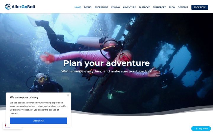 Screenshot of allezgobali.com