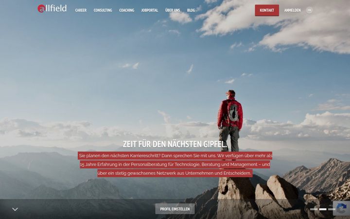 Screenshot of allfield.de