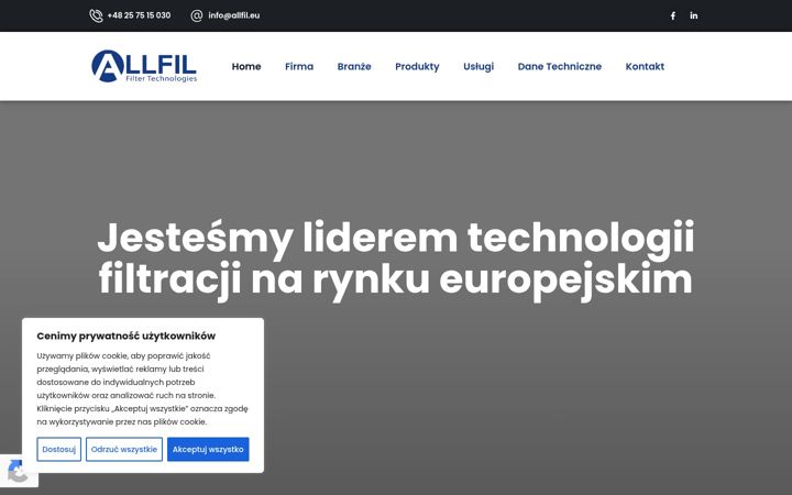 Zrzut ekranu allfil.eu