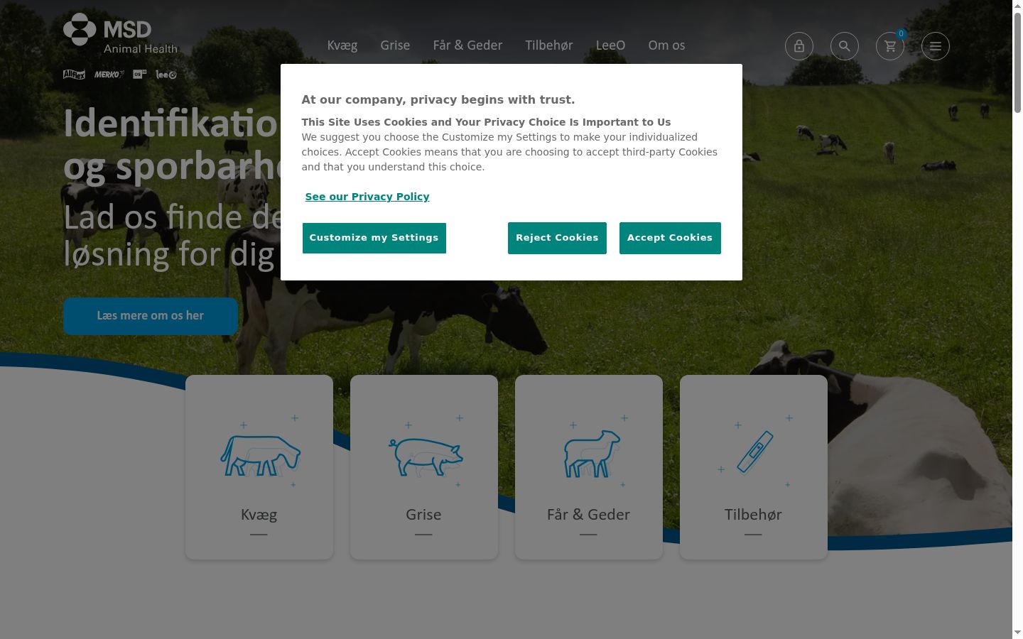 Screenshot of the consent banner shown before any interaction