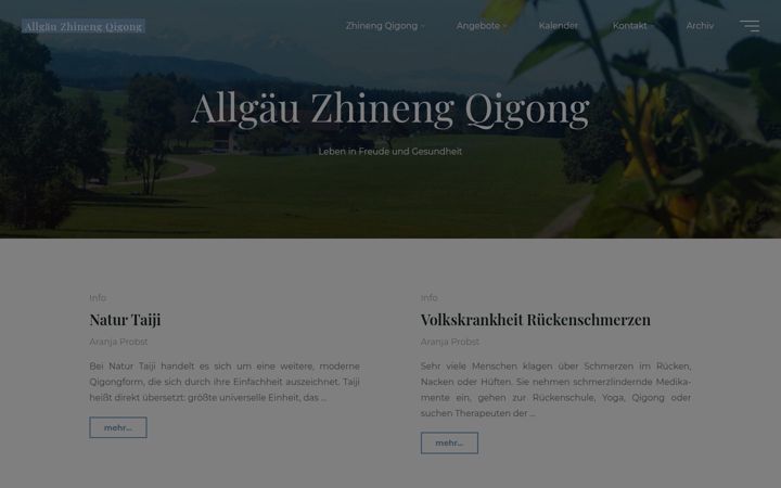 Screenshot of allgaeu-zhinengqigong.de