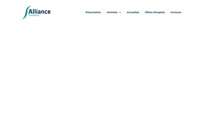 Screenshot of alliance-entreprise.fr