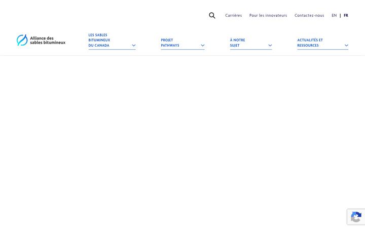 Captura de pantalla de alliancenouvellesvoies.ca
