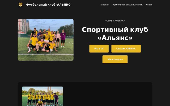 Screenshot of alliancesport.ru