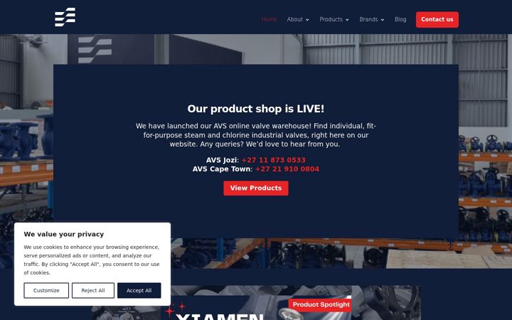 Screenshot of alliedvalvespecialists.co.za