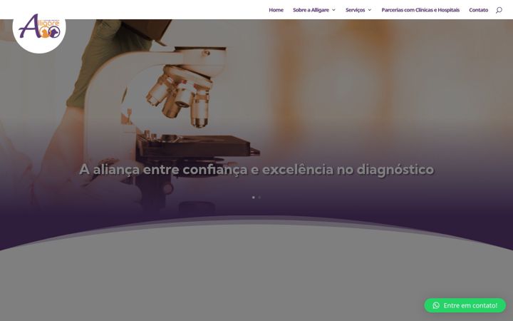 Snímek obrazovky alligarevet.com.br