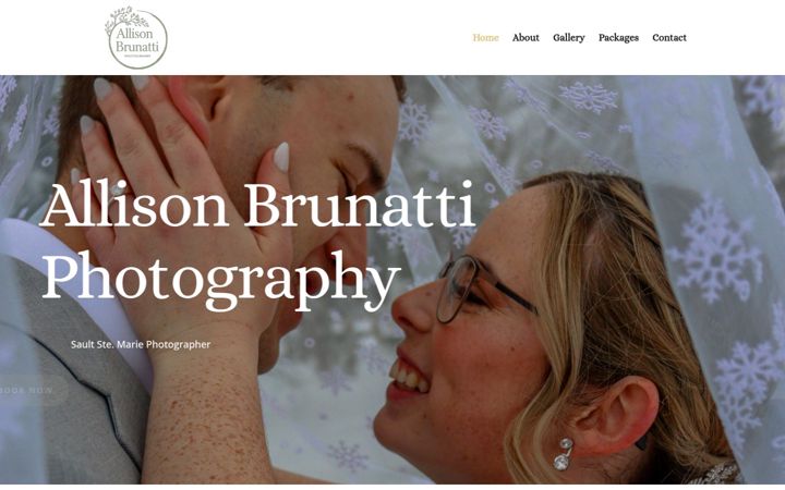 Screenshot of allisonbrunattiphotography.com