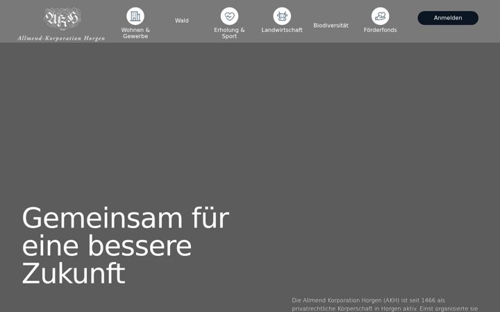 Screenshot ta' allmendkorporationhorgen.ch