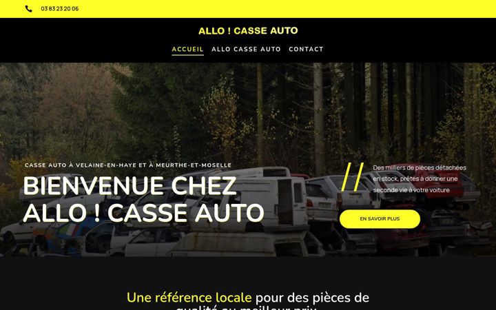 Snímek obrazovky allo-casse-auto.fr