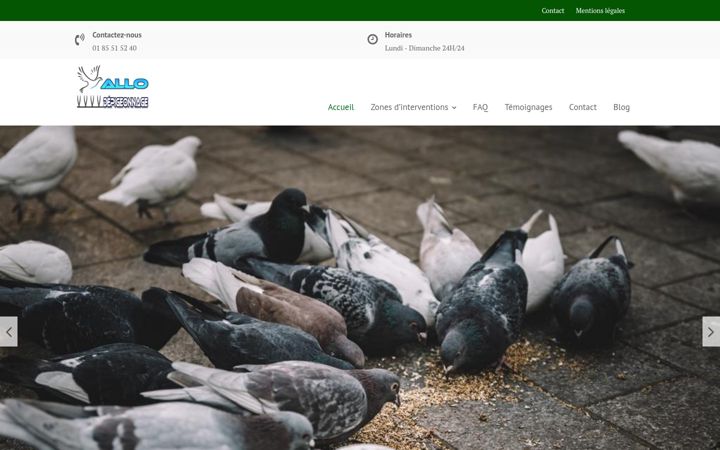 Screenshot of allo-depigeonnage.fr