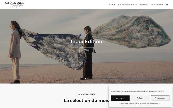 Screenshot of allo-la-lune.fr