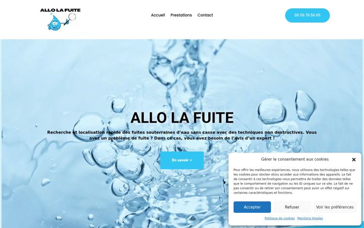 Screenshot of allo-lafuite.fr