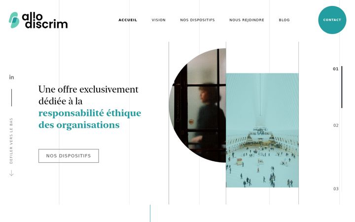 Screenshot of allodiscrim.com