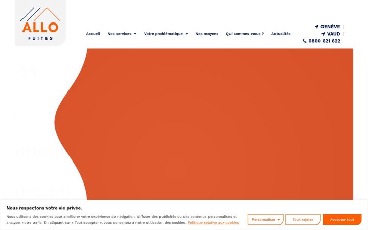 Screenshot of allofuites.ch