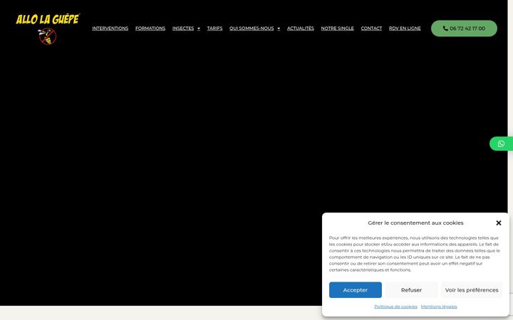 Screenshot of allolaguepe.fr