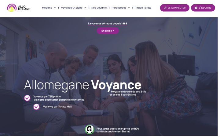 Ekrānuzņēmums no allomegane.com