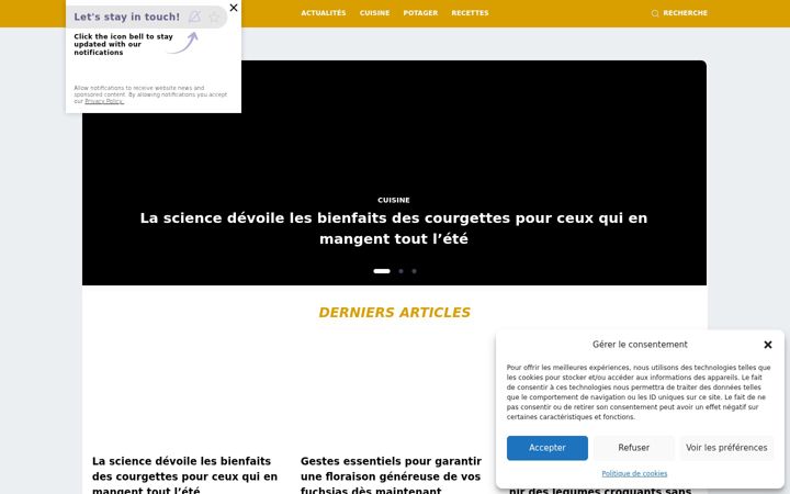 Screenshot of allopaniers.fr