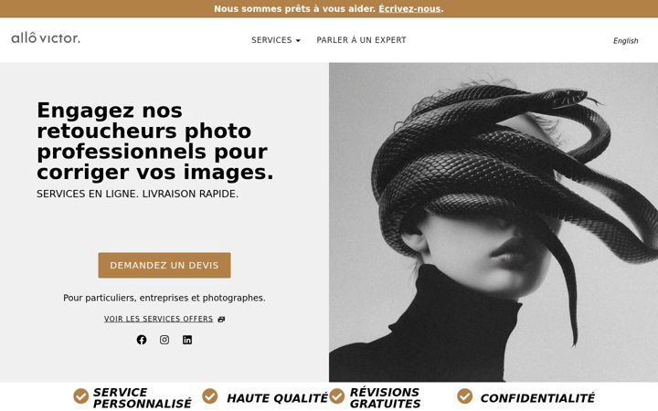 Screenshot of allovictor.com