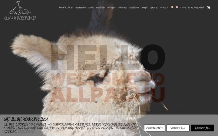 Zrzut ekranu allpachu.com