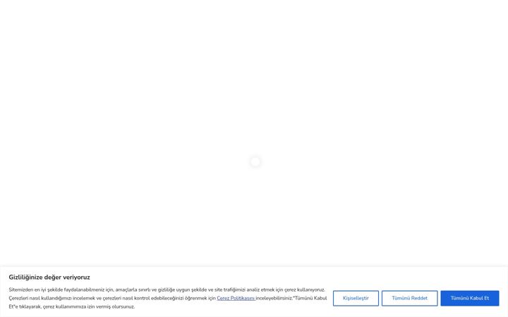 Screenshot of allsafe.com.tr
