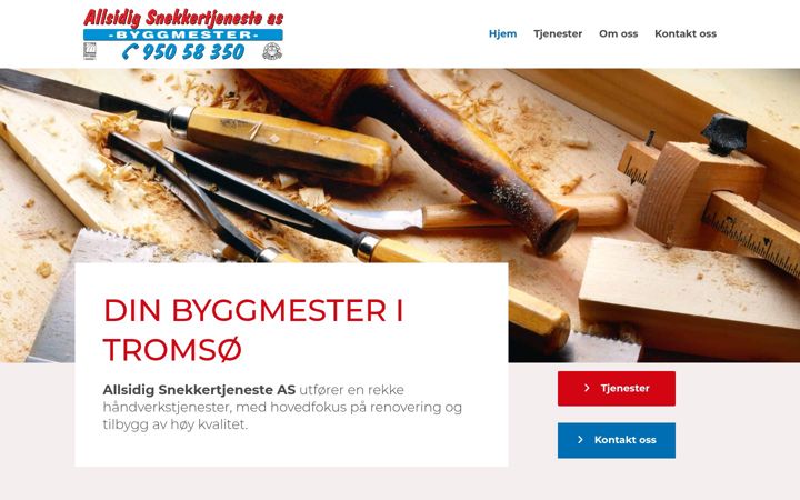 Screenshot of allsidigsnekker.no
