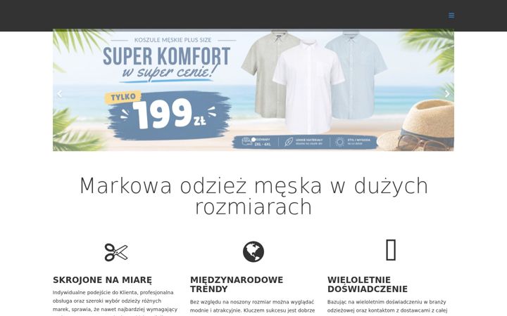 Screenshot of allsizeman.pl