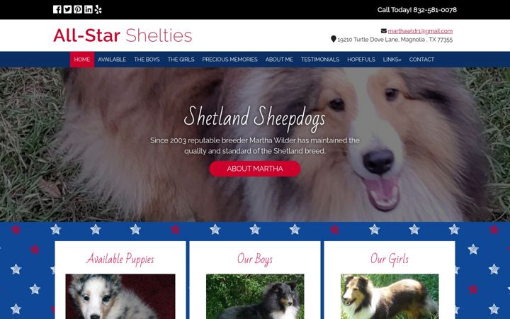 Képernyőkép: allstarshelties.com