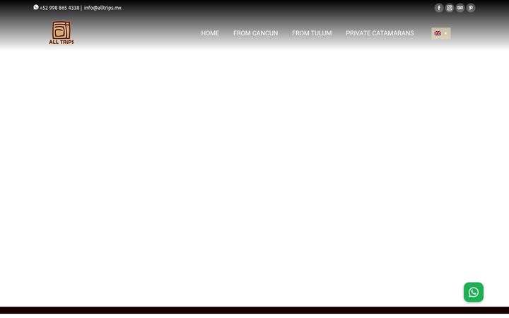 Screenshot of alltrips.mx