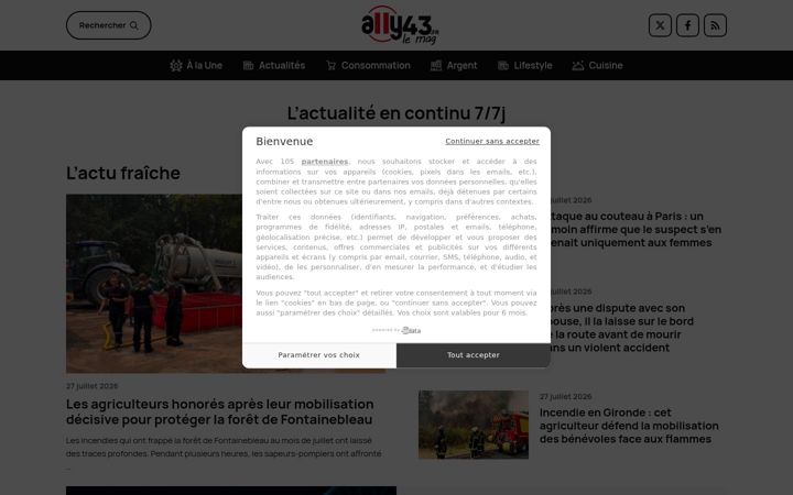 Screenshot of ally43.fr