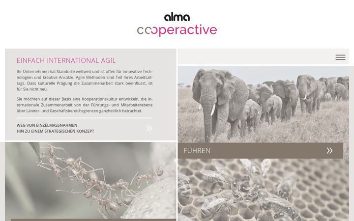 Screenshot of alma-cooperactive.de