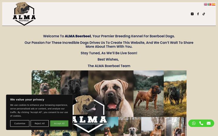 Screenshot of almaboerboel.com
