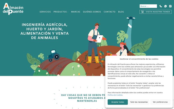 Screenshot of almacendelpuente.com