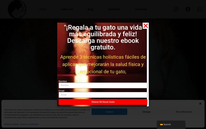 Screenshot of almademiaow.com