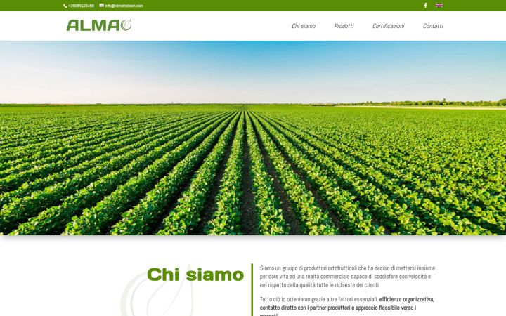 Screenshot of almaitaliasrl.com