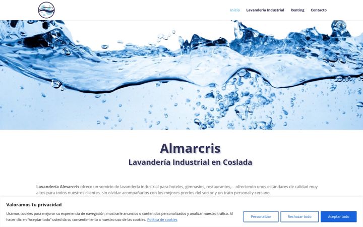 Screenshot of almarcrislavanderiaindustrial.es