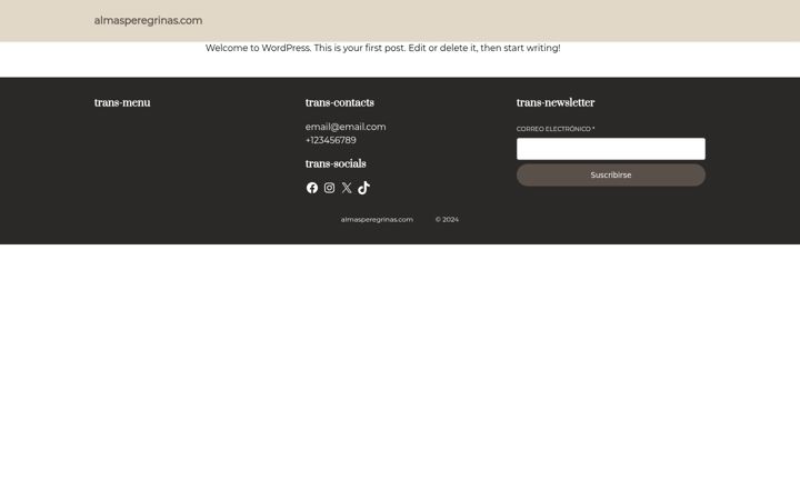 Screenshot of almasperegrinas.com