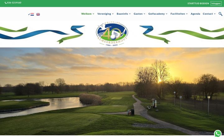 Screenshot di almeerderhout.nl