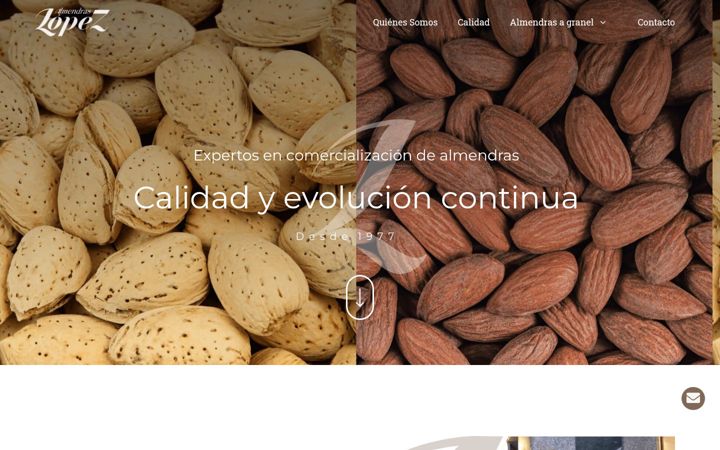 Screenshot of almendraslopez.com