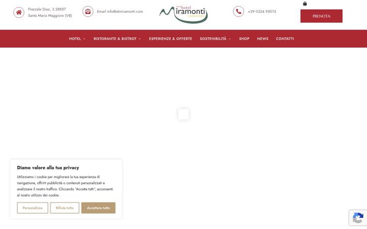 Snímek obrazovky almiramonti.com